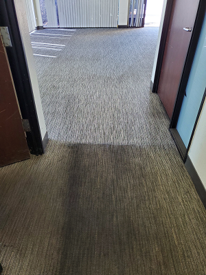 greasy carpet cleaning job
